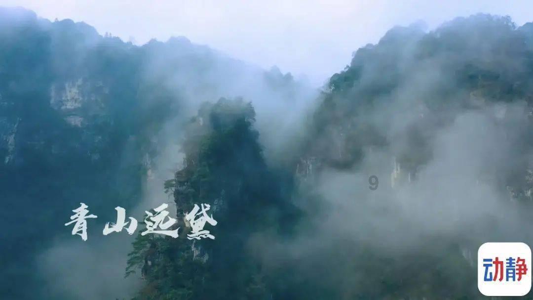 病毒大作战