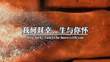 创作猫